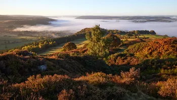 Peak district Autumn morning (2).jpg